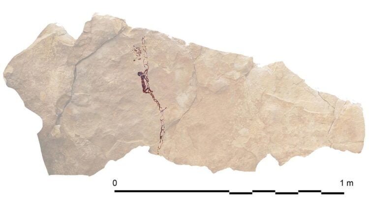 Prehistoric rock art reveals Spanish Levantine societies made ropes for climbing