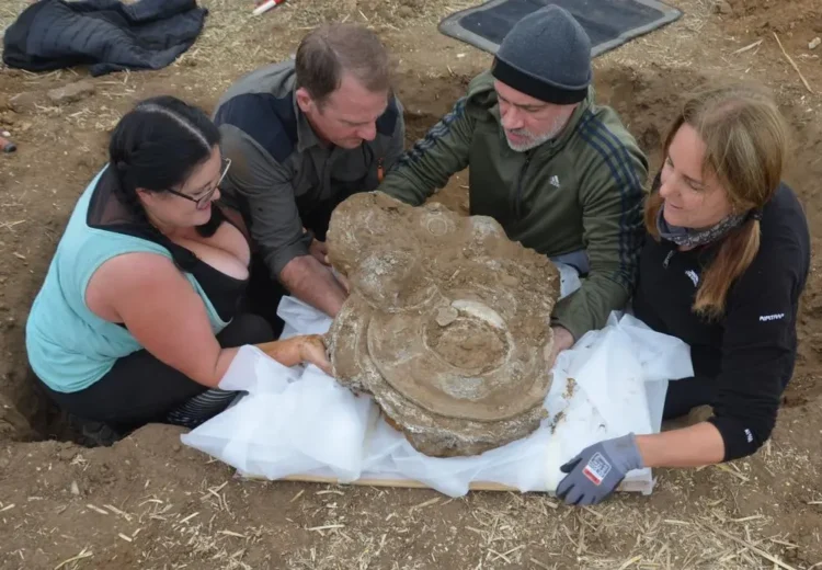 2,000-year-old Roman hoard uncovered in Suffolk