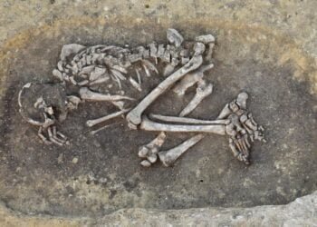 Oldest Bronze Age plague victims in Austria identified