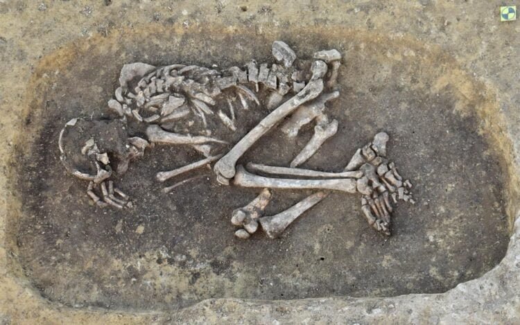 Oldest Bronze Age plague victims in Austria identified