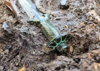 Archaeologists find a 3,000-year-old Bronze Age sword in Germany