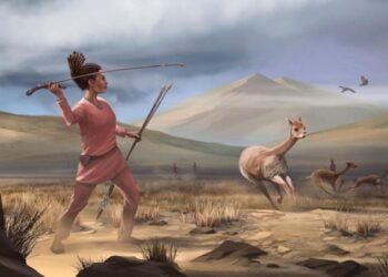 Early women were hunters in most foraging societies, study suggests