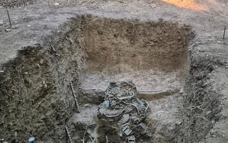 2700-year-old bronze and iron hoard found in sieged Iron Age village in Hungary