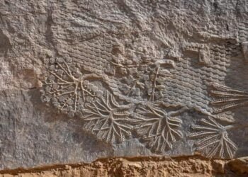 2,700-year-old rock carvings found in Iraq