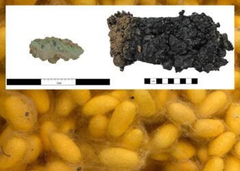 3,000-year-old silk discovered in Bronze Age sacrificial pits in China