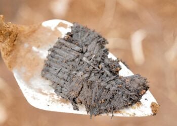 3,000-year-old weavings unearthed in Kodiak Island, Alaska