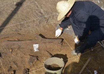 300,000-year-old wooden tools found in China reveal early humans’ plant-based diet and cognitive abilities in East Asia