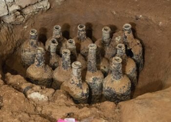 35 glass bottles of fruit from the 18th century discovered at George Washington’s Mount Vernon