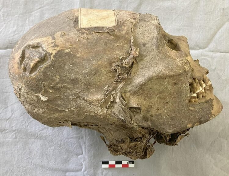 350-year-old mummified head in Switzerland traced to Bolivia’s Aymara people after new study