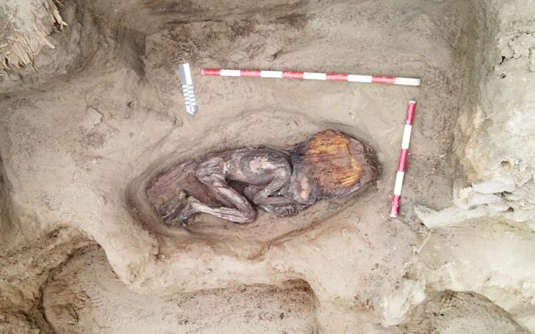 Remains of 5,000-year-old noblewoman unearthed in Peru reveal role of women in ancient Caral civilization