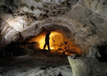 5,500-year-old wildcat found in Glencurran Cave rewrites Ireland’s prehistoric wildlife history
