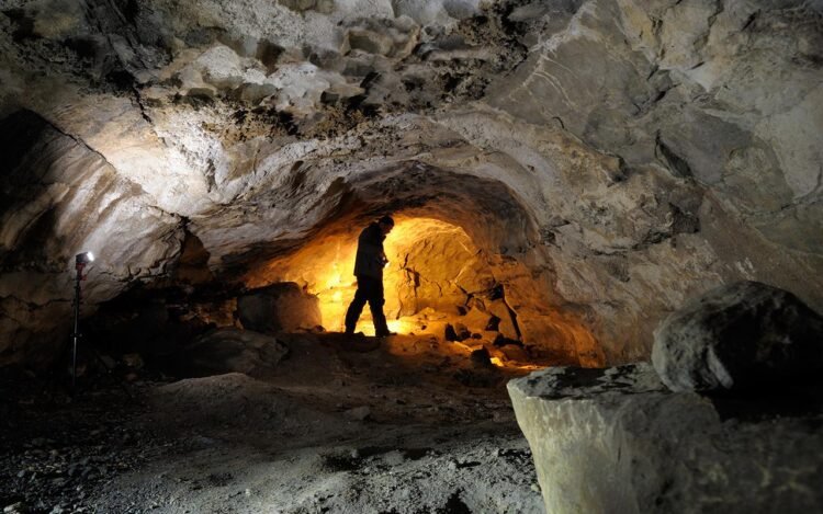 5,500-year-old wildcat found in Glencurran Cave rewrites Ireland’s prehistoric wildlife history