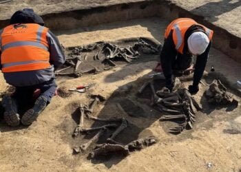 Archaeologists unearth 6,000-year-old mounds containing wooden grave chambers in Germany