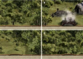 LiDAR mapping reveals over 630,000 historic charcoal kiln sites across Poland’s forests