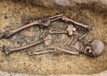 50 exceptionally well-preserved Viking skeletons unearthed in Denmark