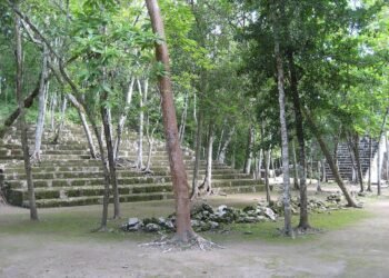Maya palace complex uncovered near Calakmul train station in Mexico