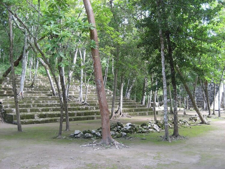 Maya palace complex uncovered near Calakmul train station in Mexico