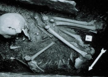 Isotope analysis reveals men and women had equal access to resources 6,000 years ago