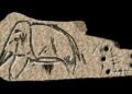 400,000-year-old ivory tools found in Ukraine rewrite human innovation timeline