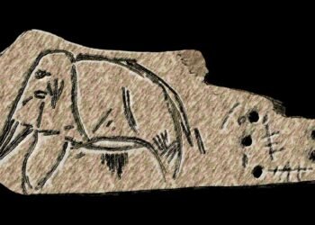 400,000-year-old ivory tools found in Ukraine rewrite human innovation timeline