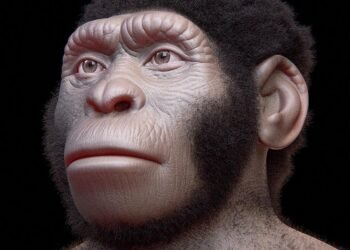 Homo naledi may have lit fires in caves over 200,000 years ago