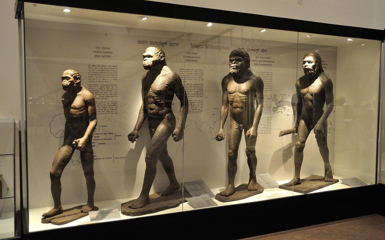 Researchers uncover lost human lineage that shaped our evolution