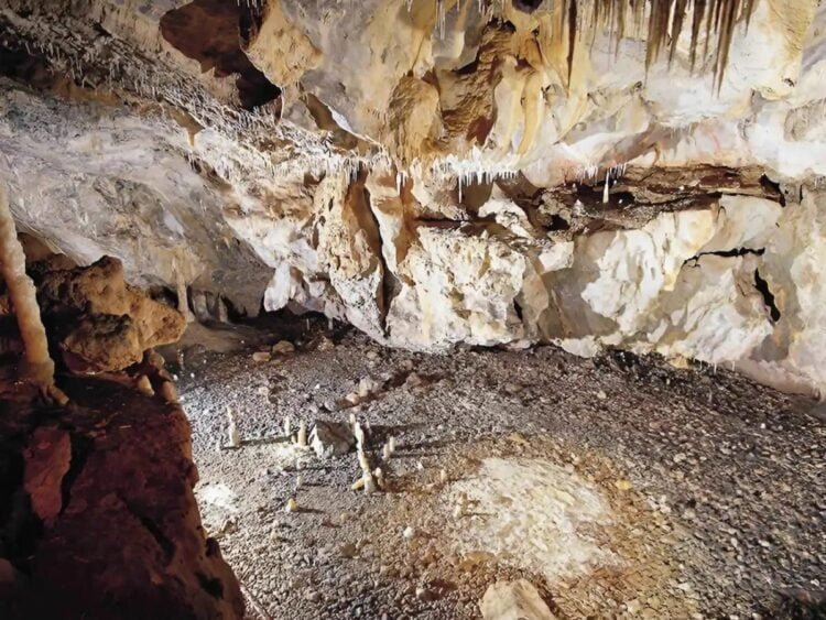 Remains of a Paleolithic dwelling discovered in Spain's La Garma cave complex