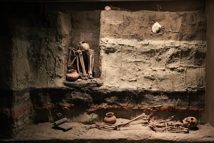 Ancient Maya tomb with funerary offerings unearthed in Mexico