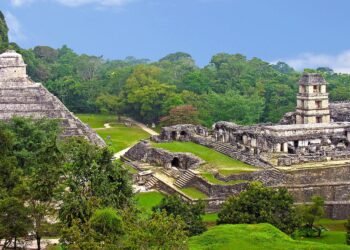 Maya nose ornament made of human bone unearthed at Palenque Ruins