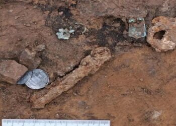 Archaeologists unvocer Muromian burial site in Muroma, Russia