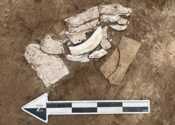 Neolithic dragon made of mussel shells unearthed in Inner Mongolia