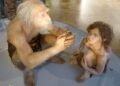 Reconstruction of a male Neanderthal with a child at the Natural History Museum, Vienna.