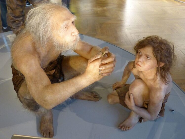 Reconstruction of a male Neanderthal with a child at the Natural History Museum, Vienna.