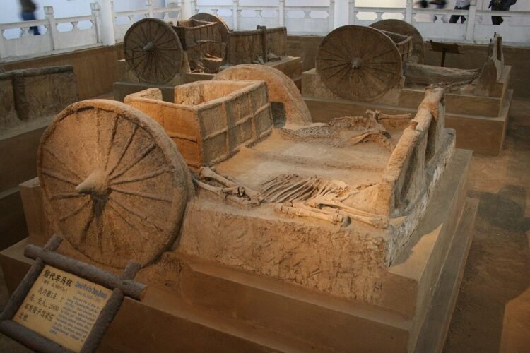 :Shang Chariot Burial