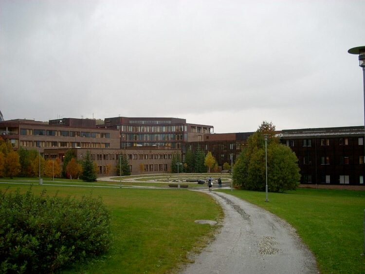 UiT The Arctic University of Norway