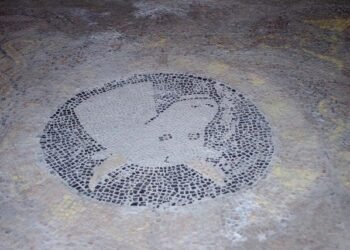 Stunning 2,000-year-old mosaic depicting dolphins and fish Uncovered at Wroxeter Roman City