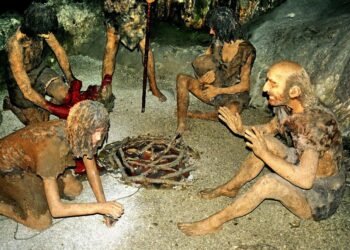 A neanderthal family