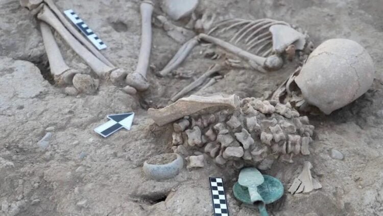 Bronze Age girl buried with more than 150 animal bones reveals clues about Kazakhstan's past