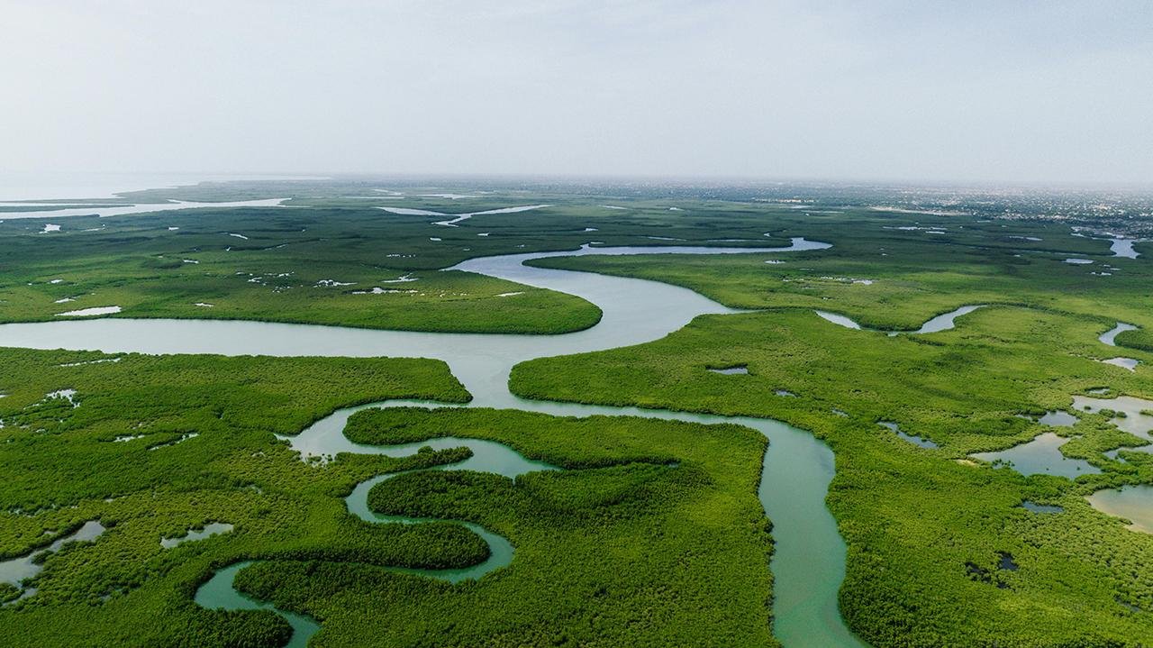 Laser scans reveal ancient cities hidden deep in the Amazon rainforest
