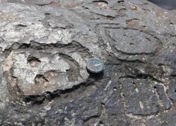 Amazon's extreme drought exposes ancient Petroglyphs