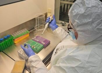 Ancient herpesvirus genomes reveal a 2,500-year history of human infection