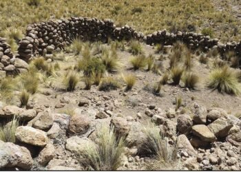 Satellite images reveal 76 ancient hunting traps in Chile, uncovering millennia of survival in the Andes