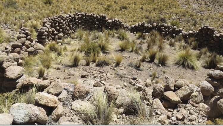 Satellite images reveal 76 ancient hunting traps in Chile, uncovering millennia of survival in the Andes