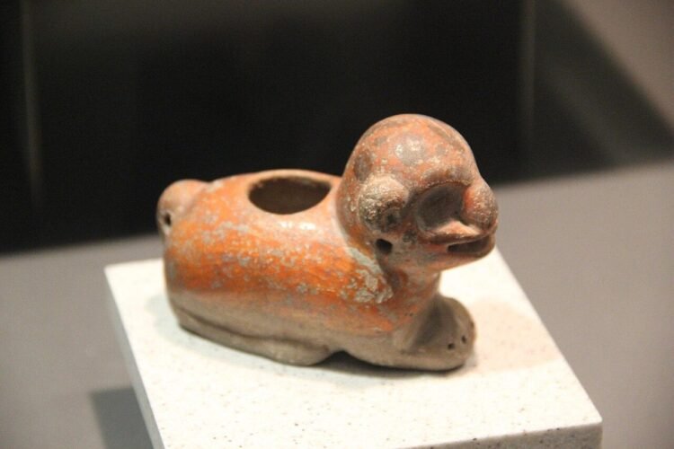 Ancient Maya traded live dogs across hundreds of miles, isotope study finds