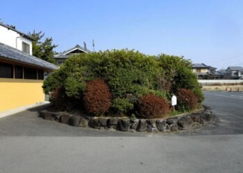 Ancient tomb discovered under parking lot shrub in Nara