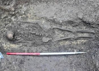 Rare 1,100-year-old Anglo-Saxon cemetery discovered in hotel garden