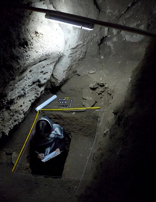 Prehistoric animal remains in Iran's Wezmeh Cave reveal ancient Zagros ecosystems