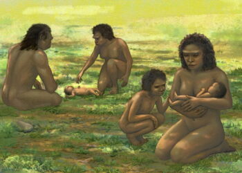 Archaic human parents cared for helpless babies over 1 million years ago, study finds