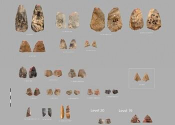 80,000-year-old arrowheads in Uzbekistan may be the world’s oldest, possibly made by Neanderthals