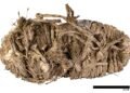 650-year-old sandal and other medieval artifacts found in centuries-old vulture nests in southern Spain